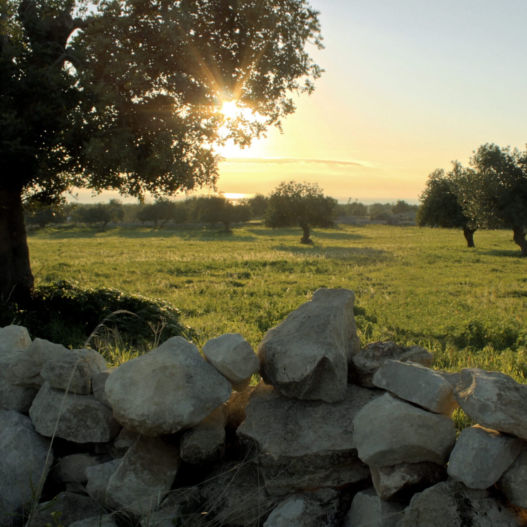 Campagna ragusana Siti Web Ragusa